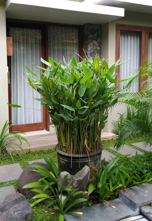 Uma Karan Hotel Kuta Lombok Buitenkant foto
